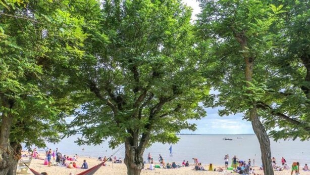A beach with trees, a hammock, and people relaxing. - Apartment with sea or pool views (Fouras)