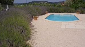 Una piscina rectangular rodeada de grava, con arbustos de lavanda en un lado y un farol al fondo.