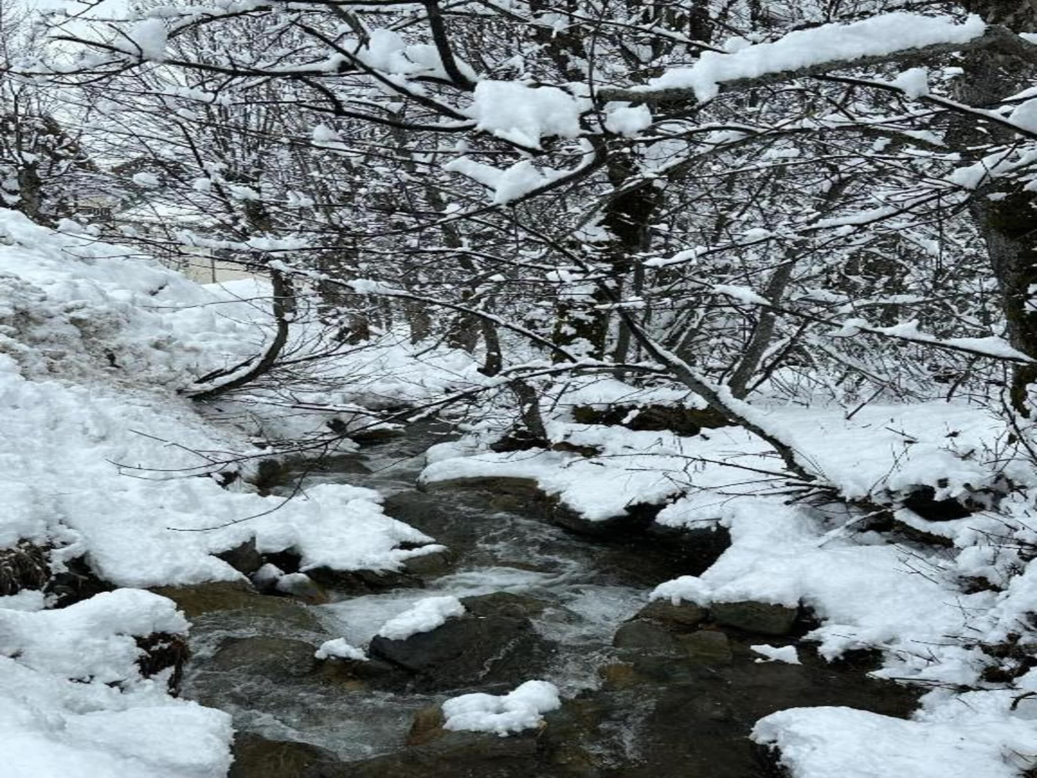 Een met sneeuw bedekte beek die door een bos stroomt.