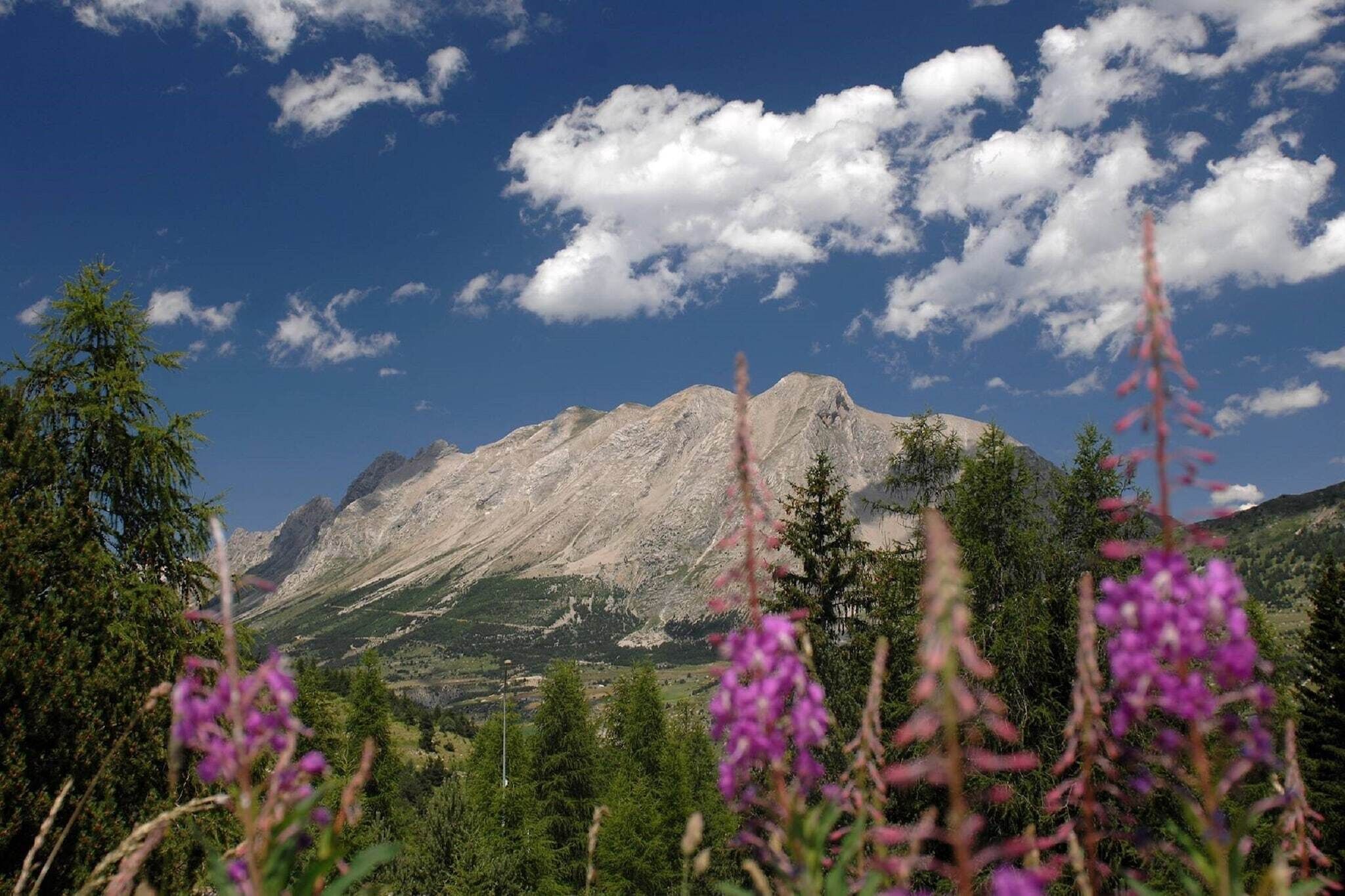 A mountain landscape with a prominent peak, surrounded by greenery and flowering plants.