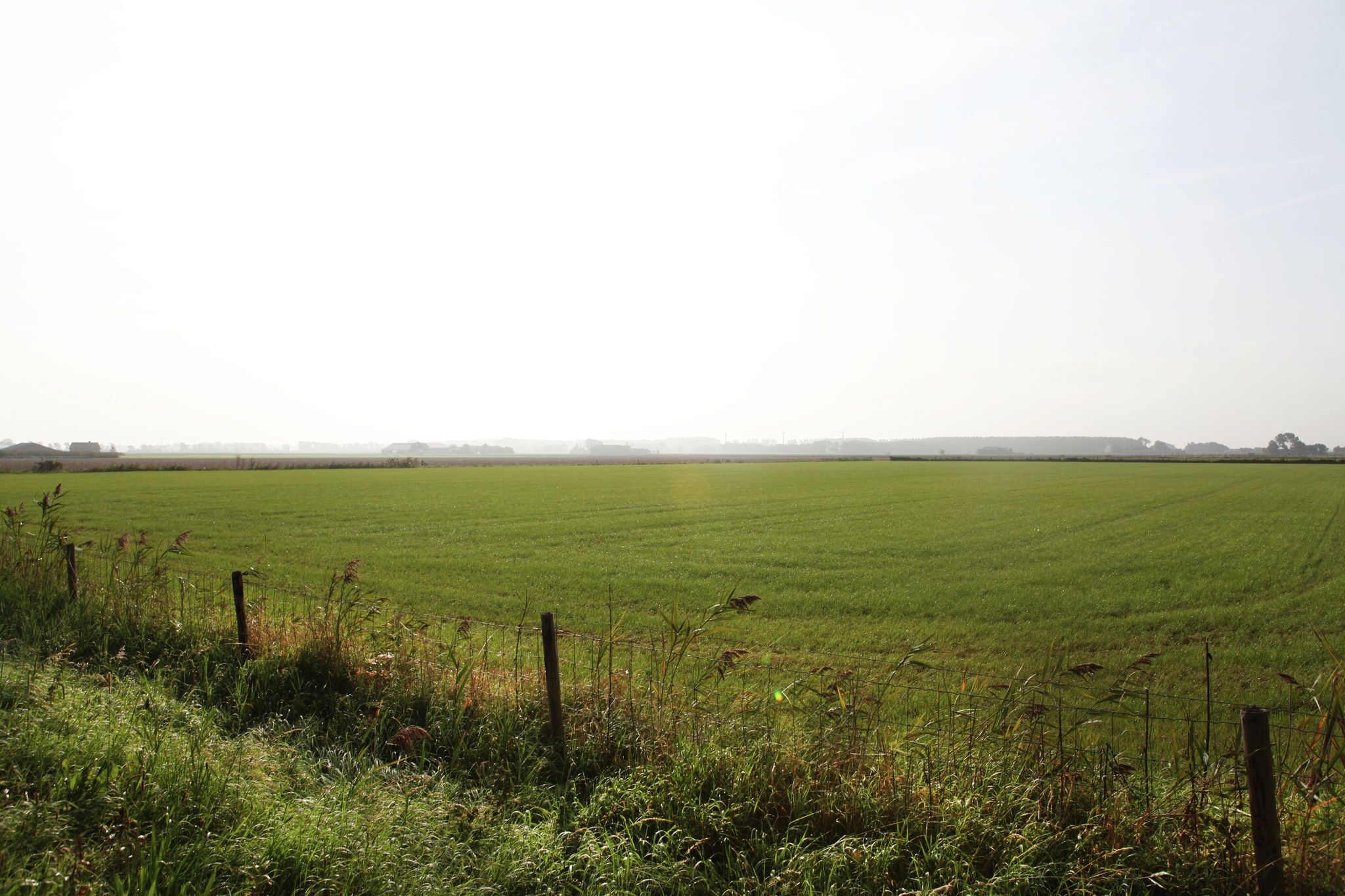 A vast green field with a wooden fence in the foreground.
