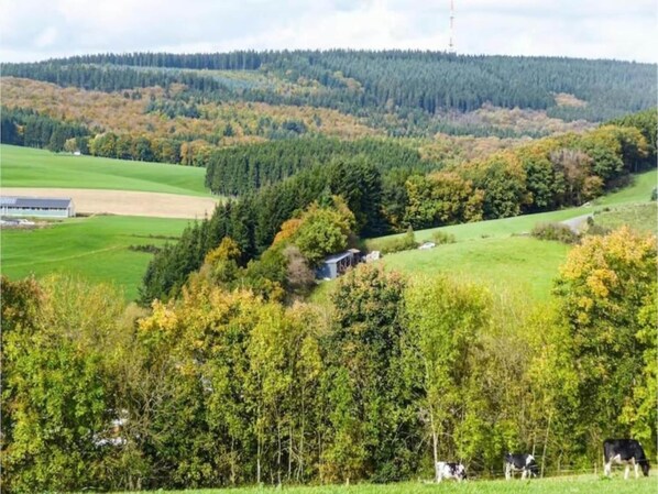Uklassifisert bilde, 1 av 33, knapp