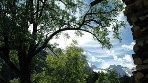 A natural landscape with trees and mountains in the background.