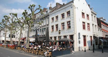 Luxury Villa in Maastricht with garden