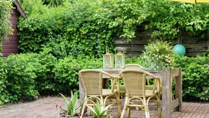 A wooden table with four wicker chairs, surrounded by potted plants, under a yellow umbrella.