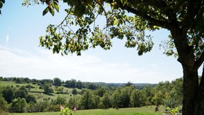 A stone wall with potted plants and a view of a green landscape with trees and hills.