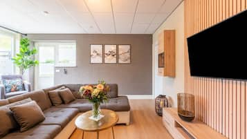 Een televisie, een open haard en een dvd-speler