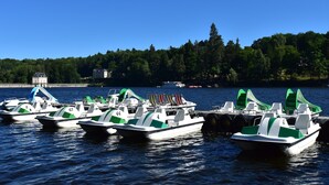 A row of small, numbered boats docked at a pier with a forested shoreline in the background. - Vacation Home in France with Pool (Vaux)