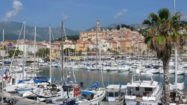 A marina with numerous boats docked, a prominent building with a tower in the background, and a palm tree in the foreground.