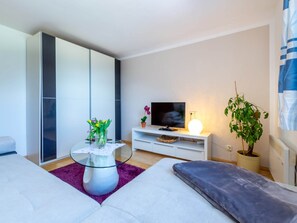 1 dormitorio y wifi