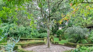 A formal garden with a central circular stone pathway, neatly trimmed hedges, and a variety of shrubs and trees.