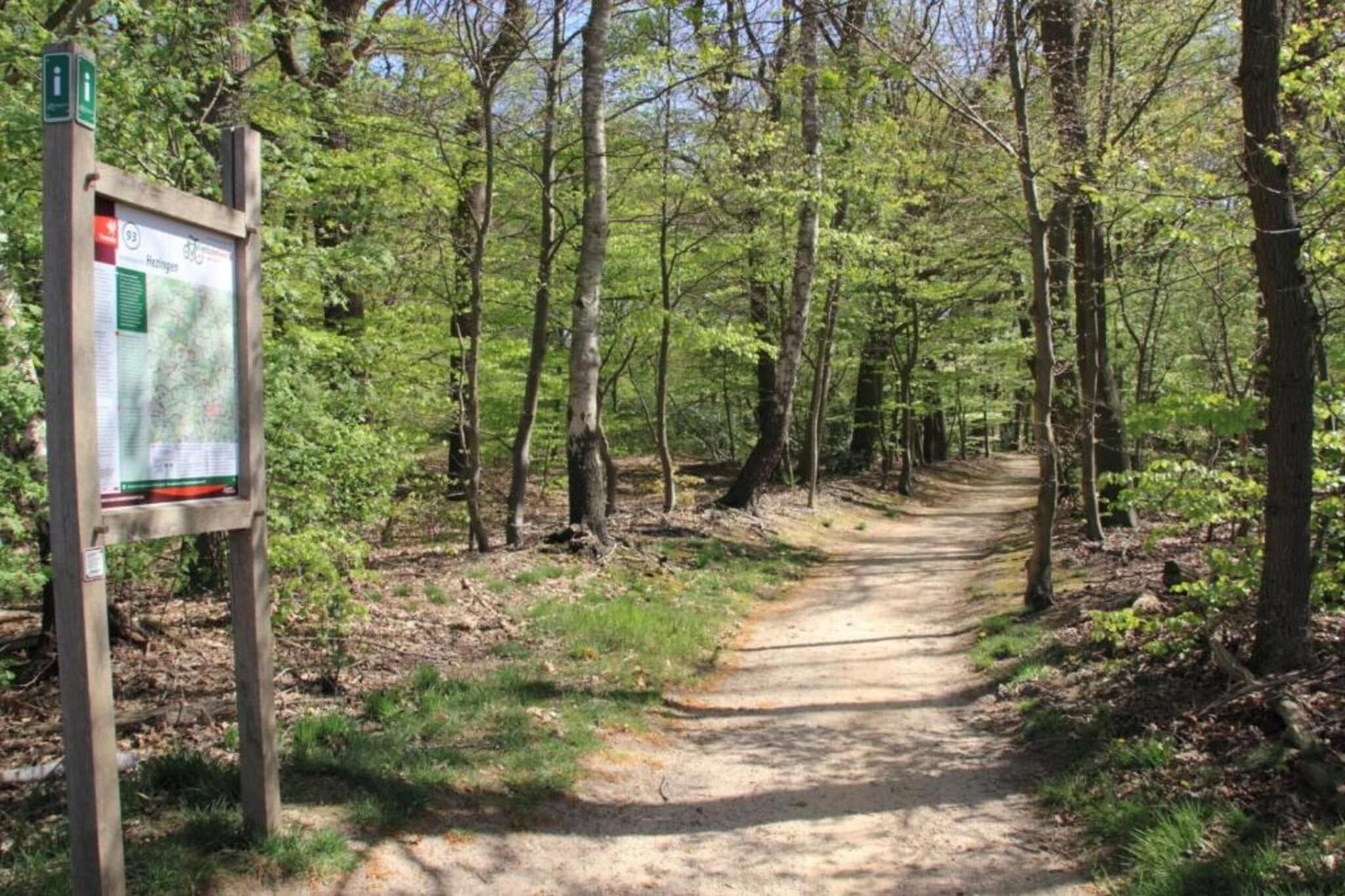 A forested trail with a wooden signpost.