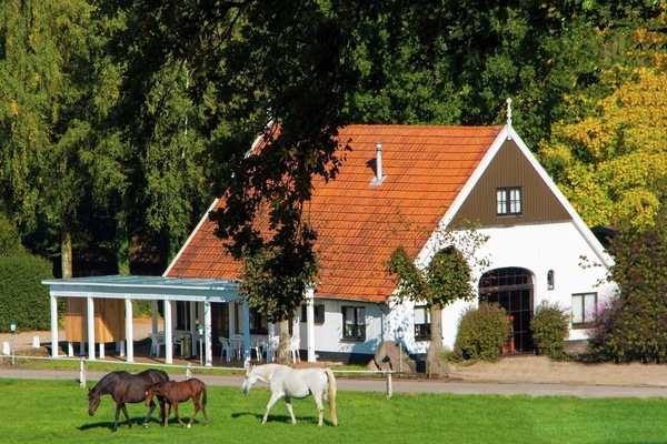 Eksteriør