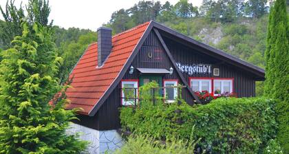 Upea valoisa loma talo Harz terassilla ja panoraamanäkymät