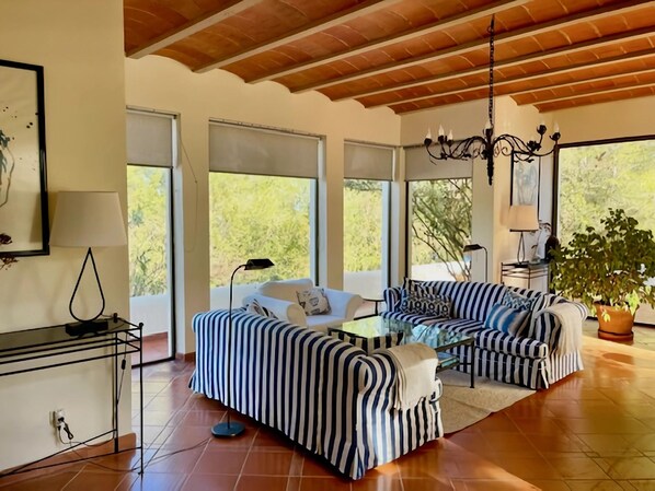 Televisión, chimenea, reproductor de DVD y estéreo 