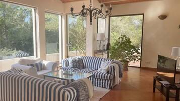 TV, fireplace, DVD player, stereo