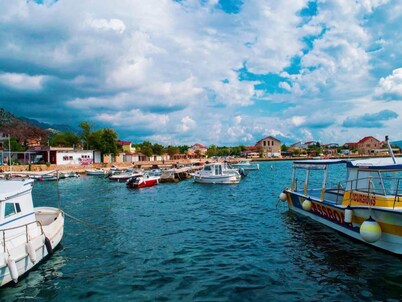 Dalmatian Adventures Await You