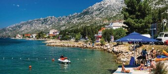 Dalmatian Adventures Await You