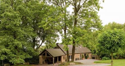 Escapade spacieuse en forĂȘt de WĂ©ris