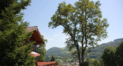 Chalet alpin prÚs des cafés