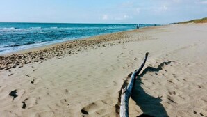 A sandy beach with footprints and a driftwood piece. - Farmhouse in Suvereto near Etruscan Coast (Suvereto)