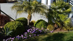 Un jardin aménagé avec des palmiers, des arbustes et des fleurs violettes, situé devant un bâtiment moderne.