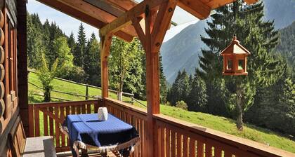 Chalet in Kolbnitz nahe Skipisten