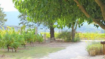 Terrein van de accommodatie