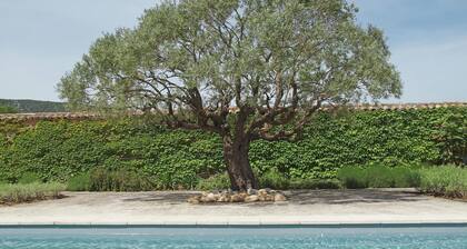 Oppède Villa mit privatem Pool