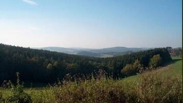 Een weids uitzicht op een glooiend landschap met dichte bossen en een heldere lucht.