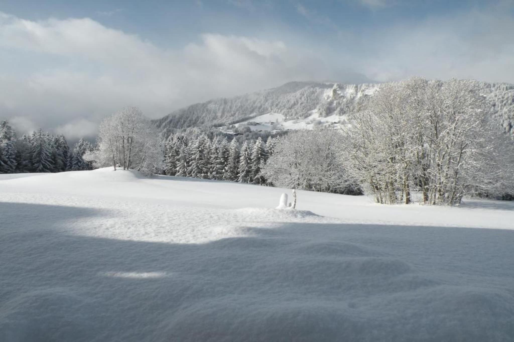 A snowy landscape with a mountain in the background and a clear sky.