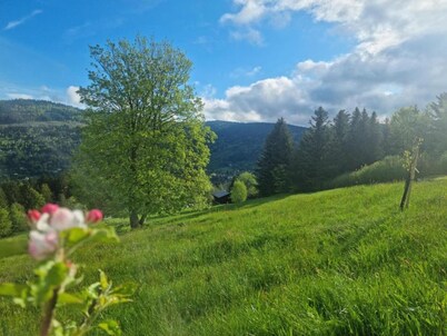 Chalet in La Bresse near Ski Slopes