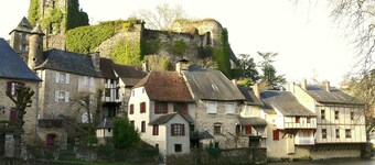 Charming Cottage in Ladignac-le-Long with Garden