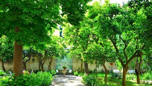 A stone pathway flanked by lush green trees and plants, leading to a building with a stone wall and a door.