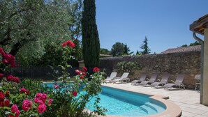 Una piscina amb gandules i una paret de pedra al fons.