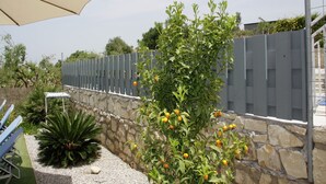 A patio area with a stone wall, a pergola with a beige canopy, and a variety of plants including a lemon tree.
