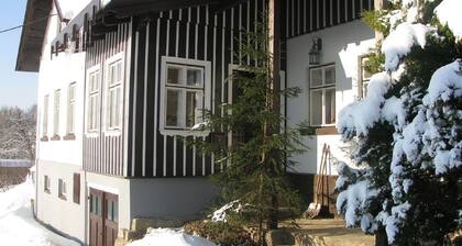 Modernes Appartement in Zlata Olesnice mit Sauna