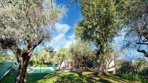 Un jardín trasero con piscina, árboles y una casa.