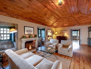 テレビ、暖炉、DVD プレーヤー、ステレオ