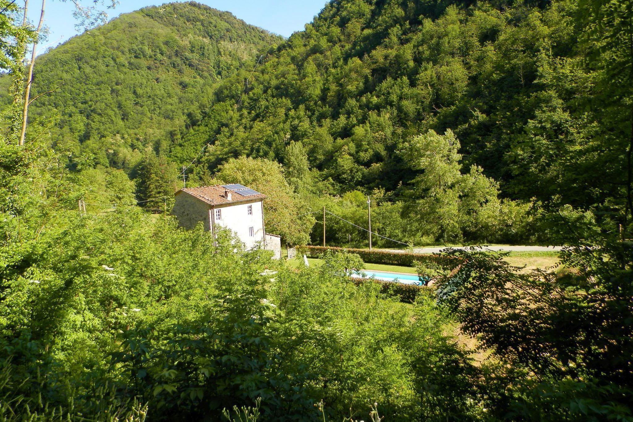 A small house with a solar panel, surrounded by dense forest and a swimming pool.