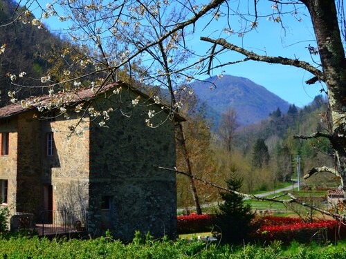 Kaunis loma talo 250 m) puutarha.
