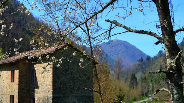 A rustic stone building with a sloped roof, surrounded by lush greenery and a mountain backdrop. - Dreamy Cottage in Trebbio with Pool (Trebbio)