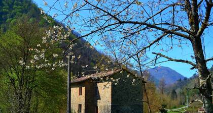 Dreamy Cottage in Trebbio with Pool