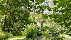 En frodig grøn skov med en klar sti, en stor sten og en lille sø.