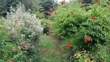 Jardines del alojamiento