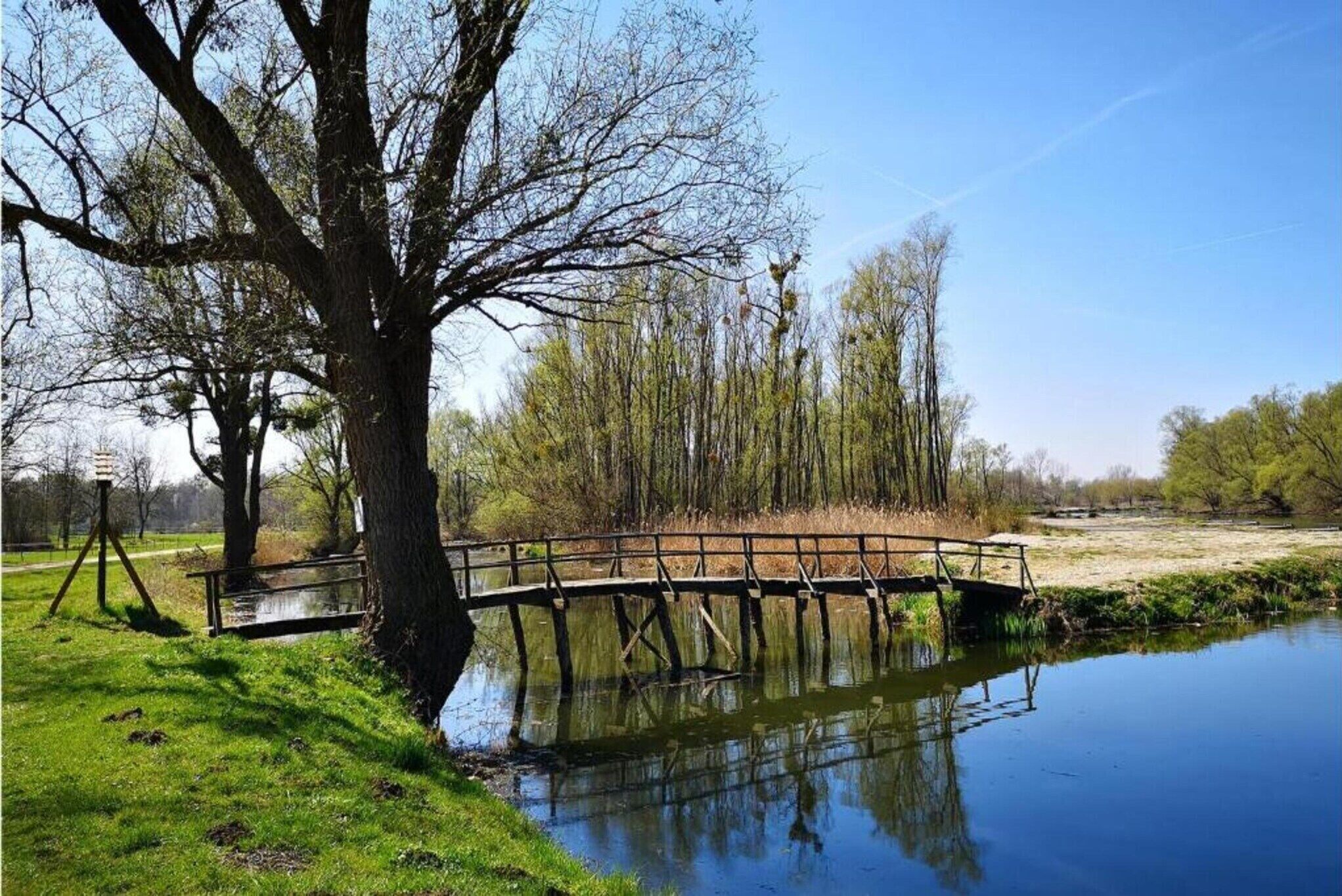 A wooden bridge over a calm river, surrounded by trees and grassy areas.