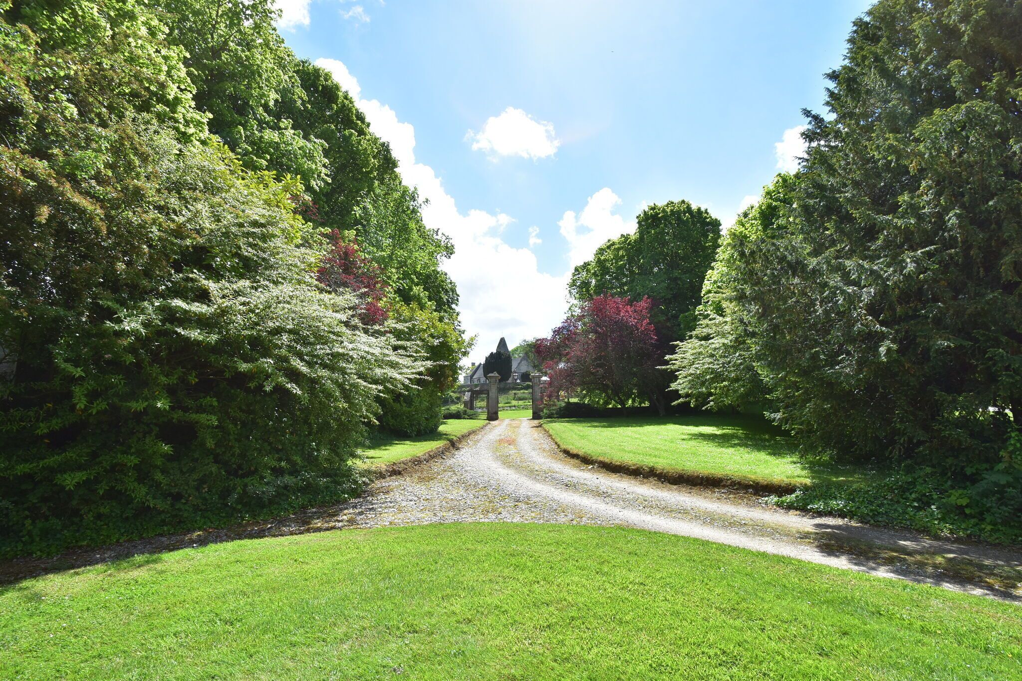 Un chemin menant à un bâtiment entouré d’une végétation luxuriante et d’arbres.