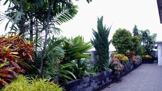 A landscaped outdoor area with various plants and a tiled walkway. - Grand Kasira (Jakarta)