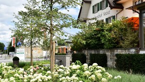 A hotel with a unique architectural design, a well-maintained garden with hydrangeas, and a clear sky.