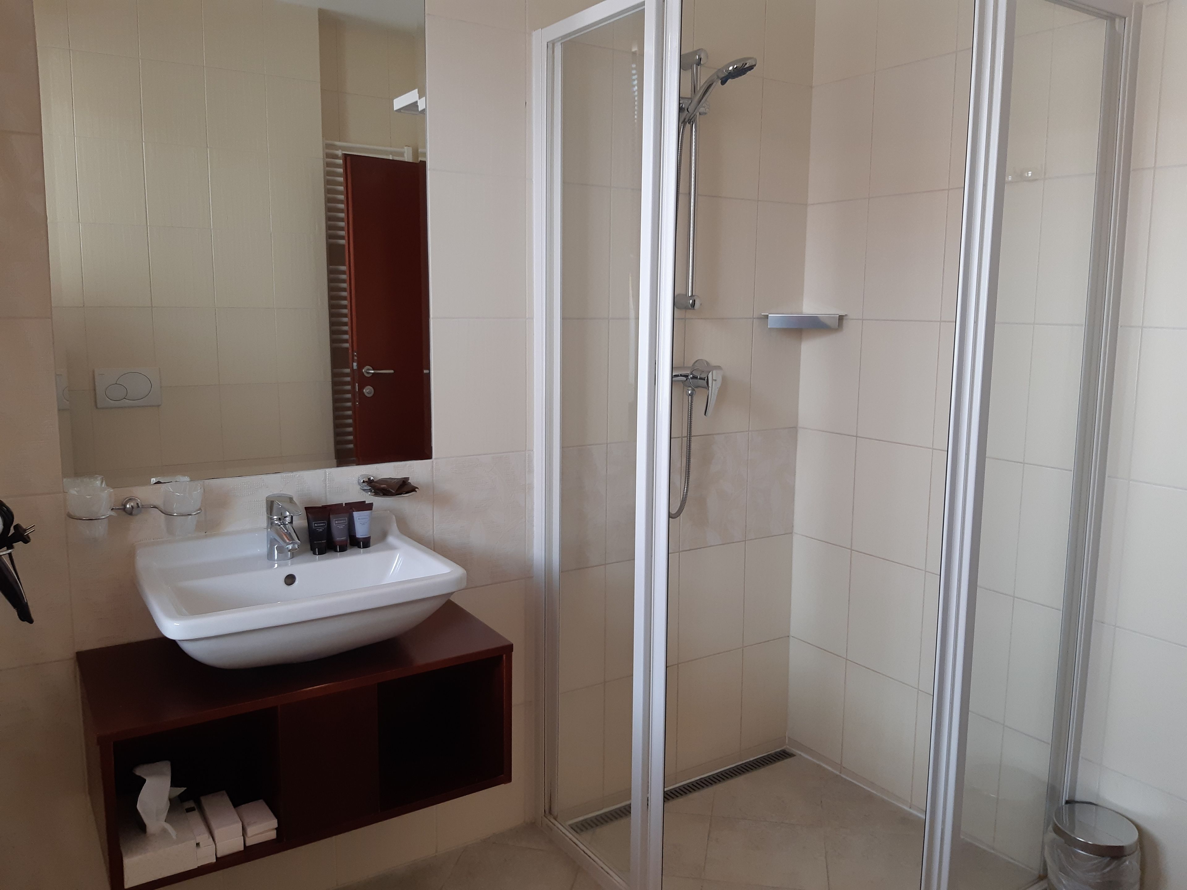 A bathroom with a white sink, a mirror, a shower enclosure, and a wooden vanity.